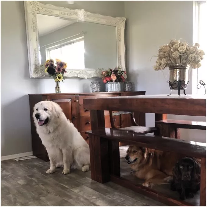 RADITIONAL BEVELED VENETIAN FULL LENGTH MIRROR