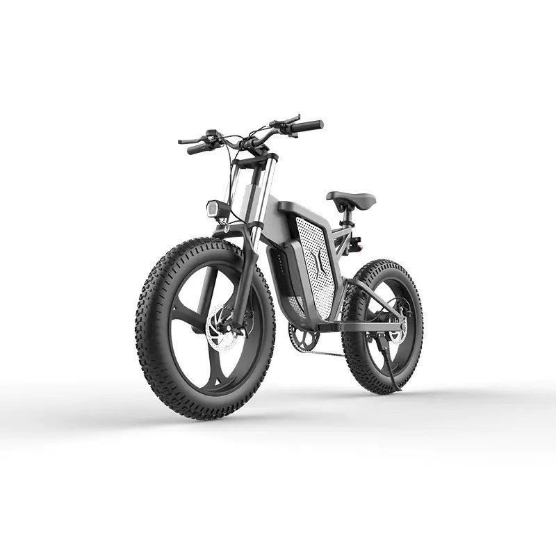 Lithium-Batterie-Geländewagen 20-Zoll-Mountainbike