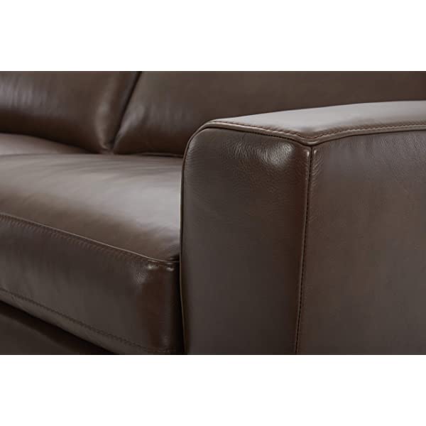 Amazon Brand - Stone & Beam Westview Extra-Deep Down-Filled Sofa Couch, 89