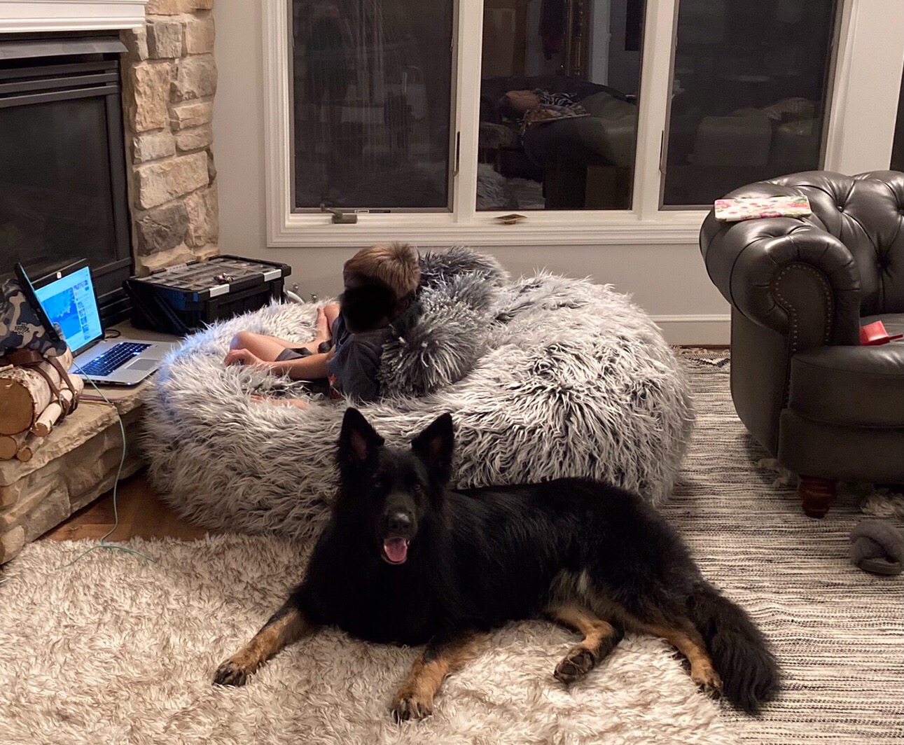 【Furniture】Lycus Faux Fur Bean Bag Chair