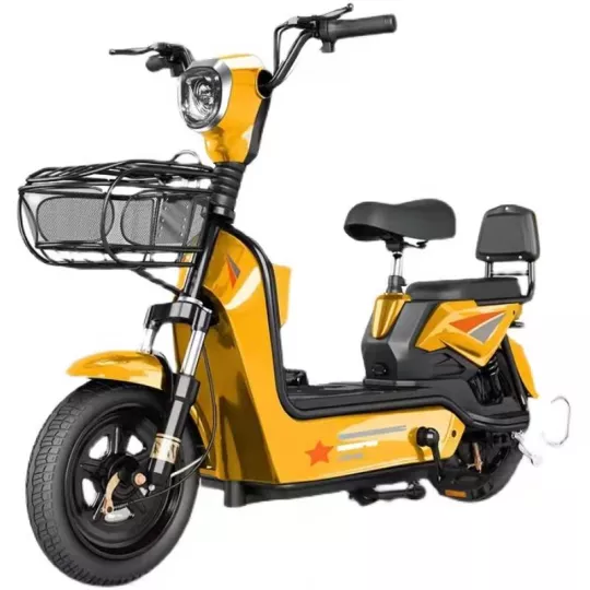 Electric bicycle for adults with battery car