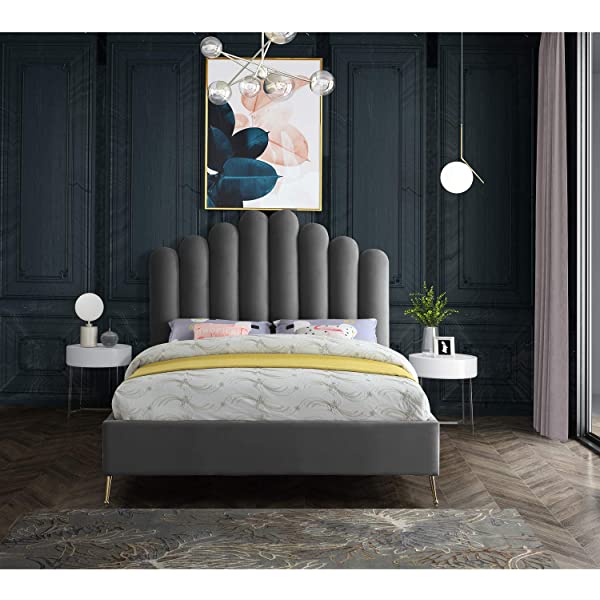 Meridian Furniture Lily Collection Modern | Contemporary Velvet Upholstered Bed with Deep Channel Tufting and Custom Gold Steel Legs, Queen, Cream Cream Queen