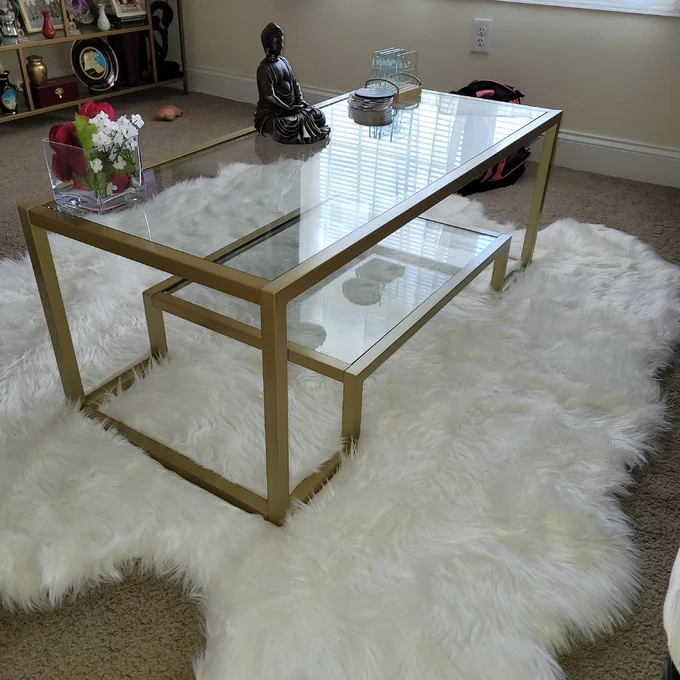【Furniture】Shumake Frame Coffee Table with Storage