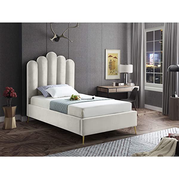 Meridian Furniture Lily Collection Modern | Contemporary Velvet Upholstered Bed with Deep Channel Tufting and Custom Gold Steel Legs, Queen, Cream Cream Queen