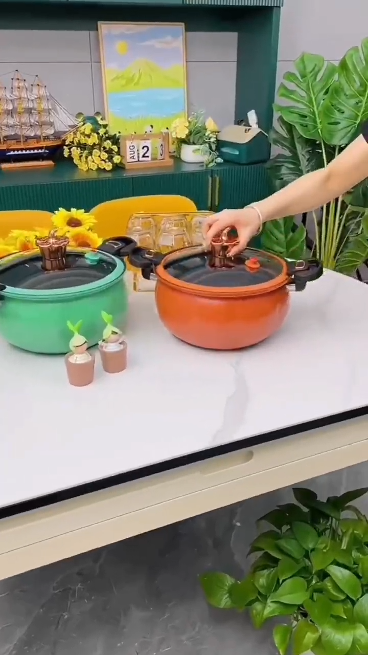 Micro-pressure cooker large-capacity household pumpkin soup pot multi-functional high pressure cooker induction cooker gas universal